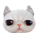 Cat Sofa Pillow Cover