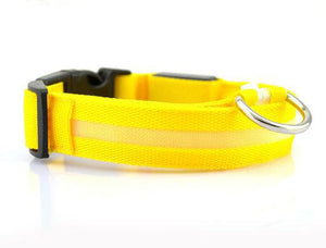 Dog Collar LED Light Night Safety