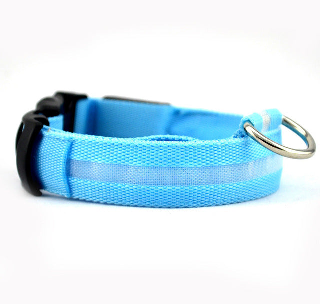 Dog Collar LED Light Night Safety