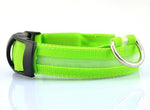 Dog Collar LED Light Night Safety