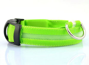 Dog Collar LED Light Night Safety