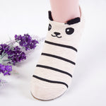 Cat Summer Short Socks
