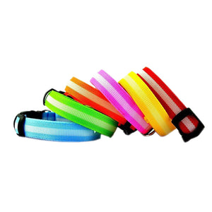 Dog Collar LED Light Night Safety