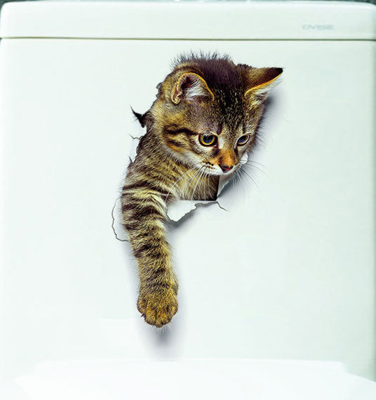 Cats 3D Toilet Stickers