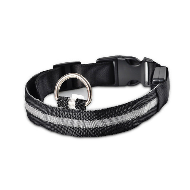 Dog Collar LED Light Night Safety