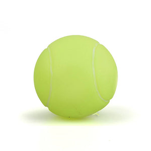 Dog Puppy Chew Toys