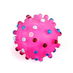 Dog Puppy Chew Toys